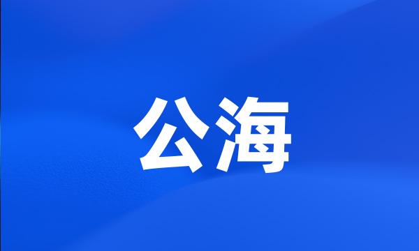 公海