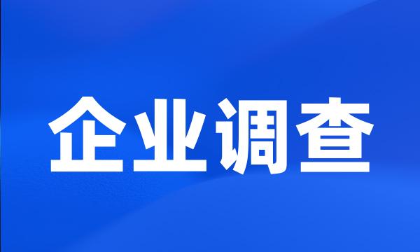 企业调查