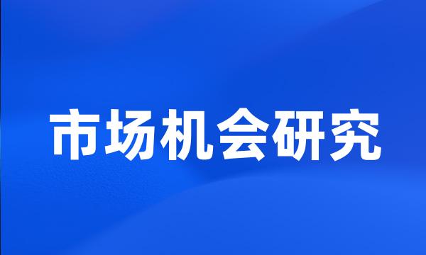 市场机会研究