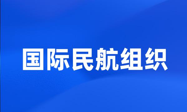 国际民航组织