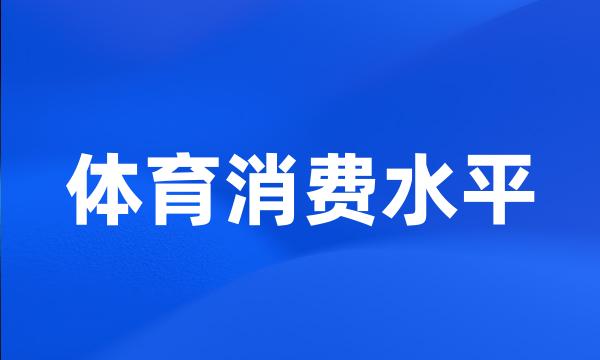 体育消费水平