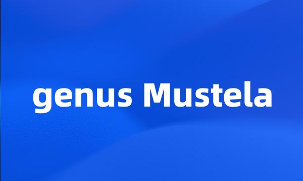 genus Mustela