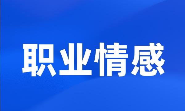 职业情感