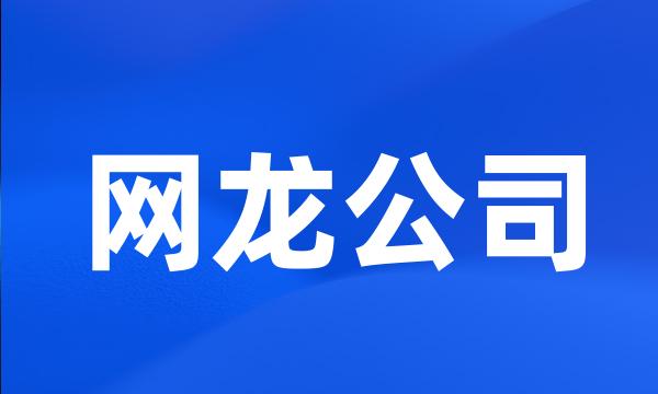 网龙公司