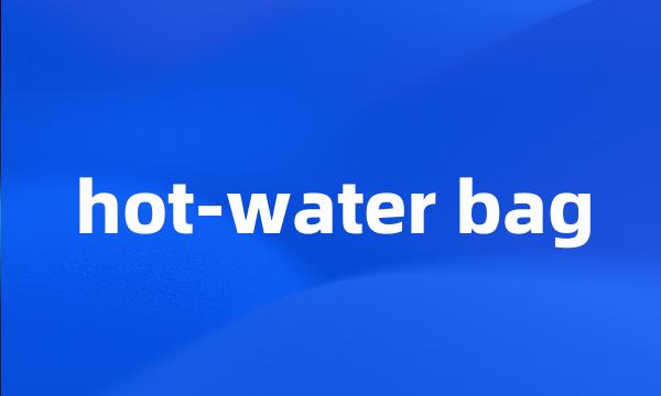 hot-water bag