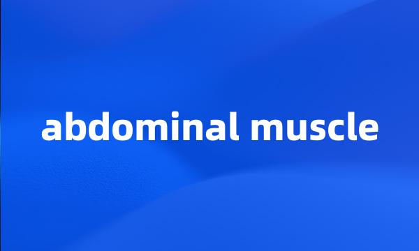 abdominal muscle