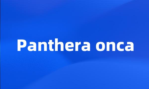 Panthera onca