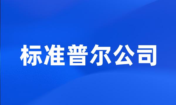 标准普尔公司