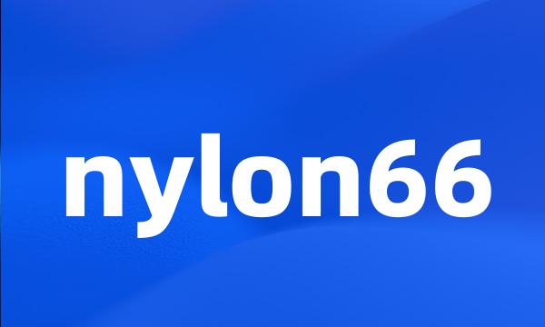 nylon66