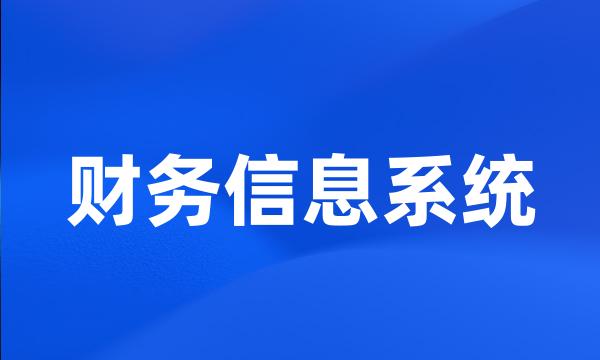 财务信息系统