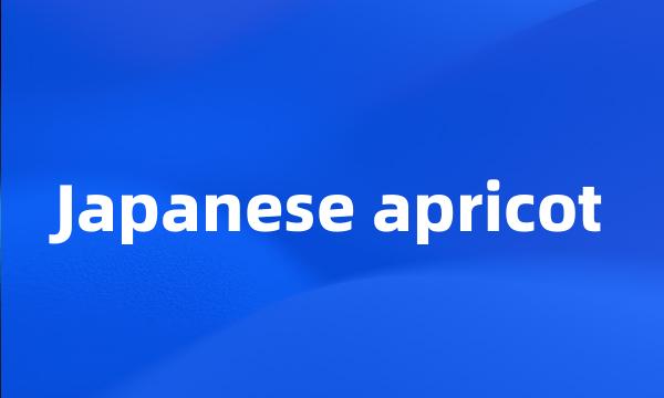 Japanese apricot