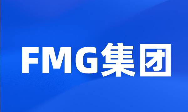 FMG集团