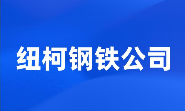 纽柯钢铁公司