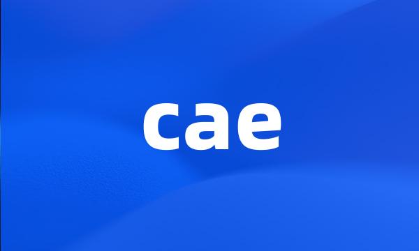 cae