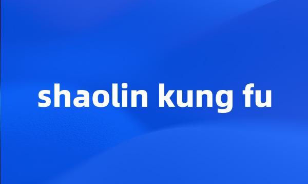 shaolin kung fu