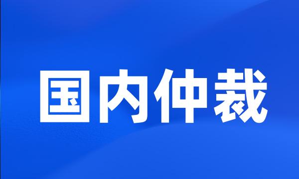 国内仲裁