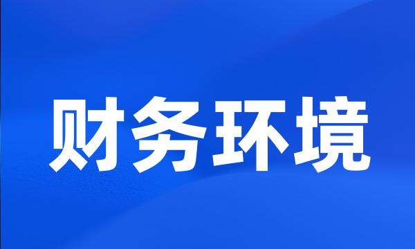 财务环境