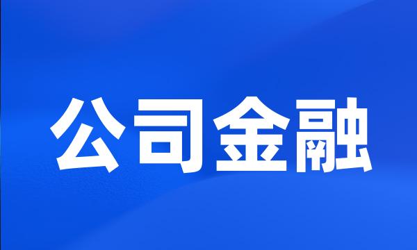 公司金融