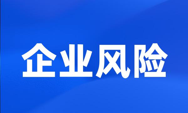 企业风险