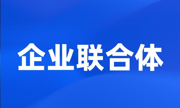 企业联合体