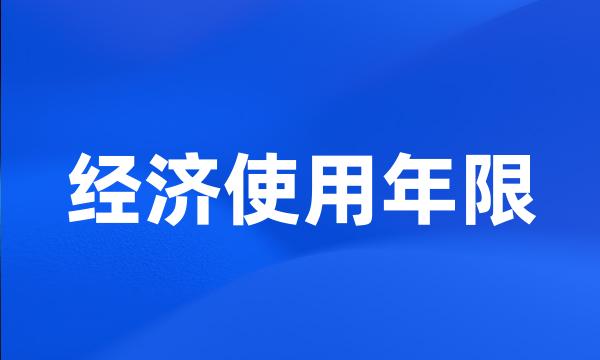 经济使用年限