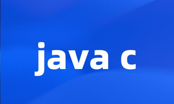 java c