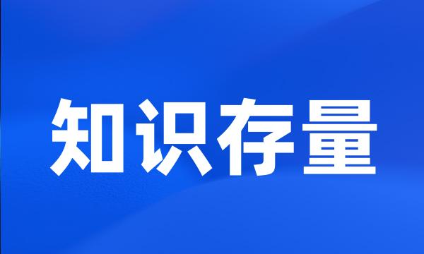 知识存量