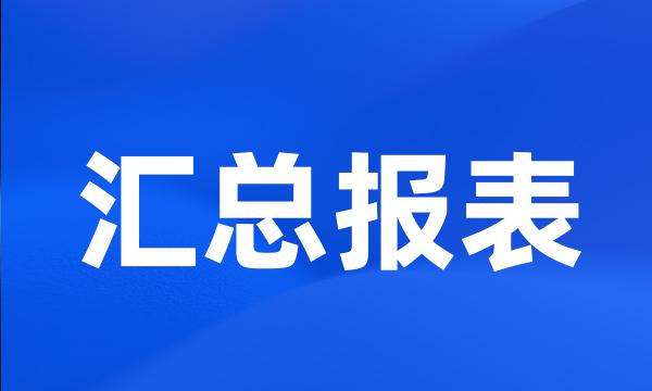 汇总报表