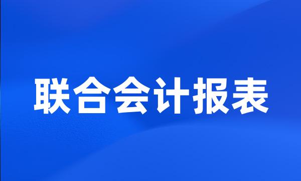 联合会计报表