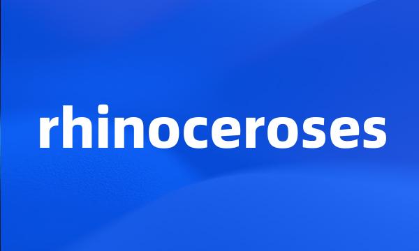 rhinoceroses