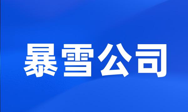 暴雪公司