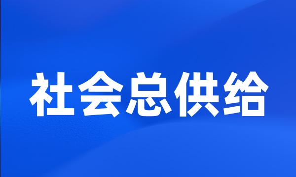 社会总供给