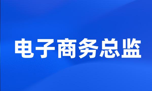 电子商务总监