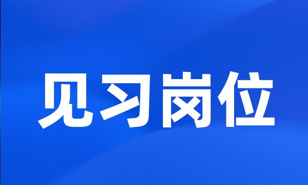 见习岗位