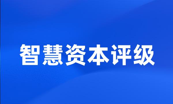 智慧资本评级