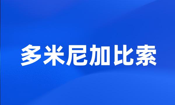 多米尼加比索