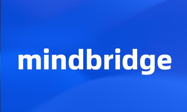 mindbridge