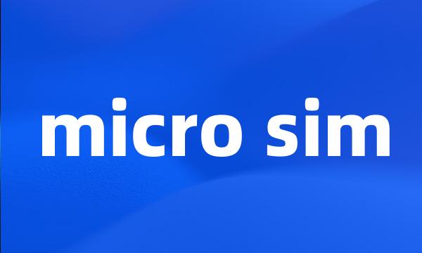 micro sim