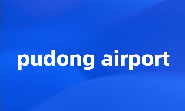 pudong airport