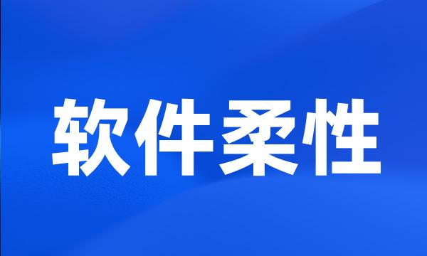 软件柔性