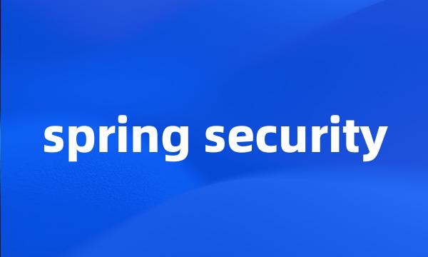 spring security