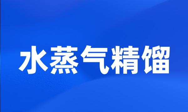 水蒸气精馏