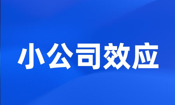 小公司效应