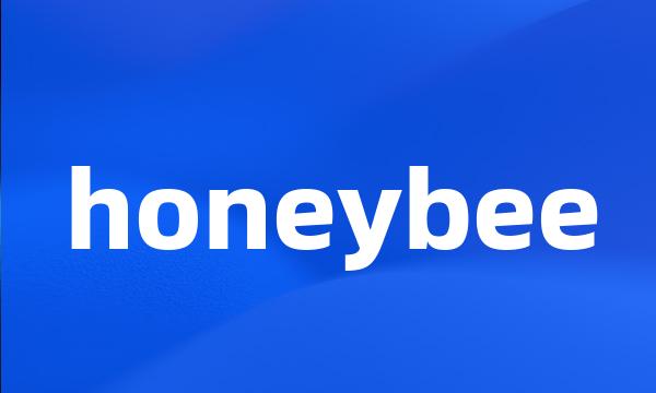 honeybee