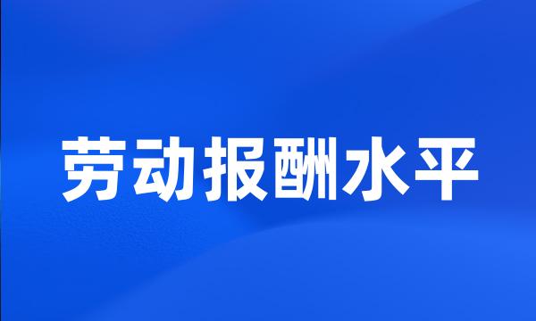 劳动报酬水平