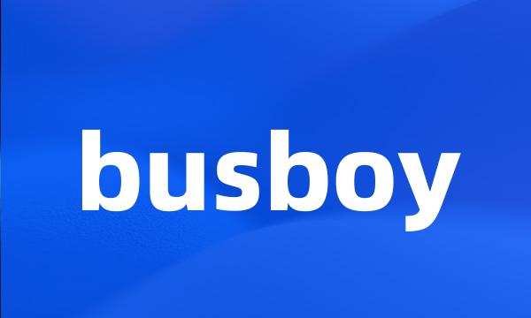 busboy