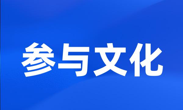 参与文化