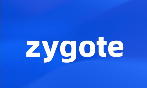 zygote