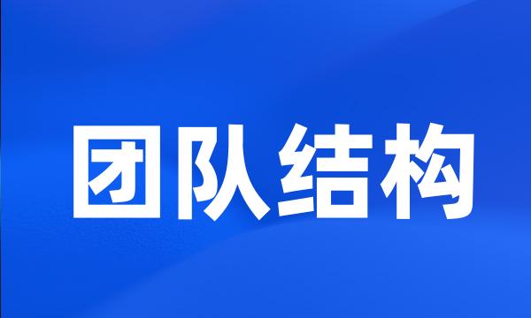 团队结构