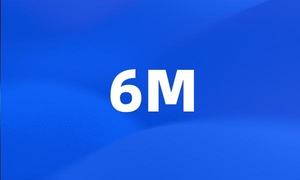 6M